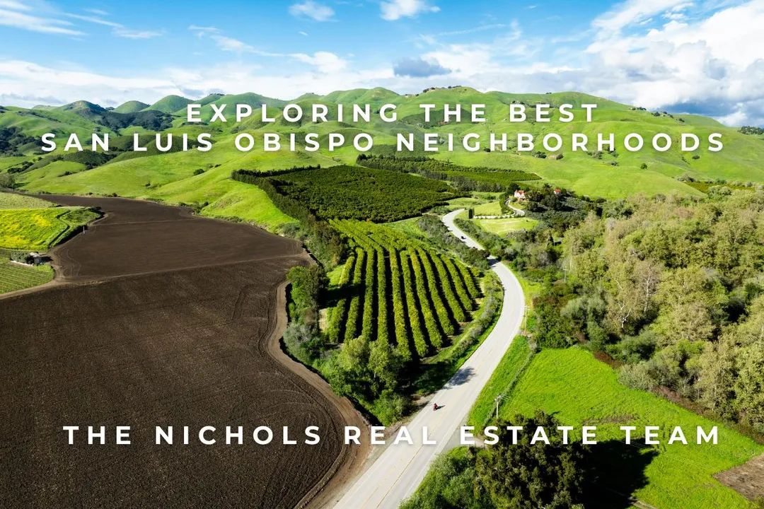 Scenic aerial view of rolling green hills, vineyards, and a winding road, showcasing the natural beauty and charm of the best San Luis Obispo neighborhoods.